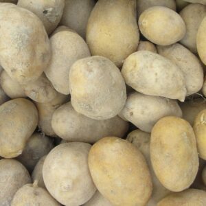 Pomme de terre