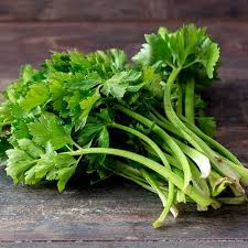 Botte de céleri branche