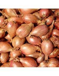 Echalote 250grs (Biofreche)