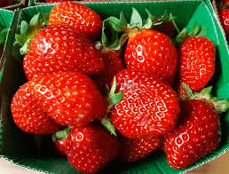 Fraises