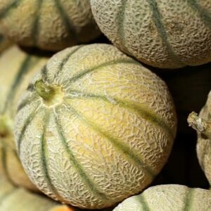 Melon