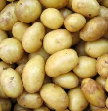 Pomme de terre "chairs tendres" SPUNTA 0.5kg