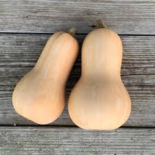 Courge "Butternut" pièce