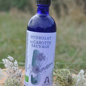 HYDROLAT de Carotte sauvage