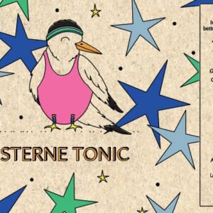 Sterne tonic 33 cl