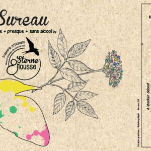 Sureau 33 cl : blonde presque sans alcool